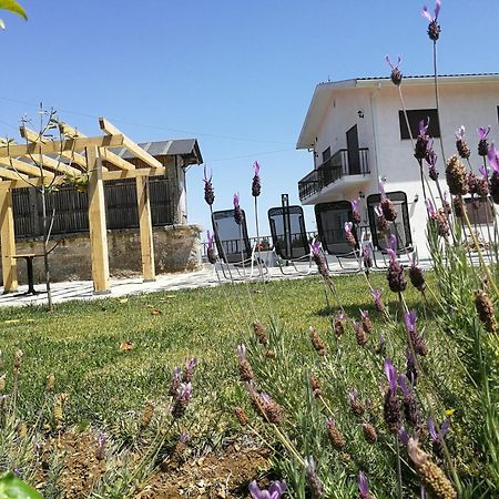 Abrigo Das Andorinhas Aveiro Bagian luar foto