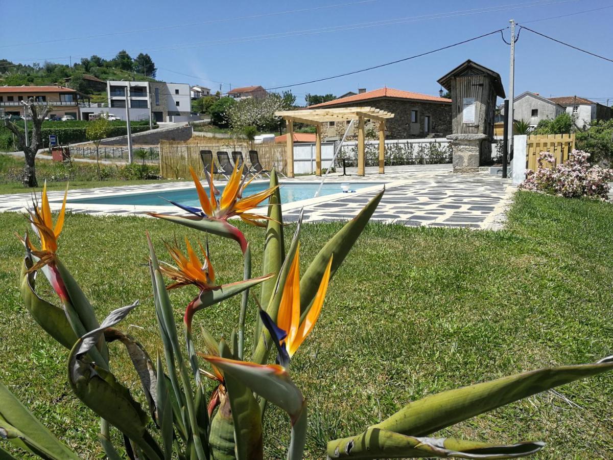 Abrigo Das Andorinhas Aveiro Bagian luar foto